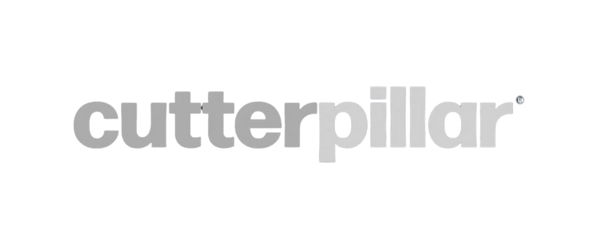 Client company